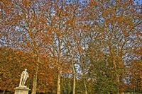 Cjp_2009_10_29_163441 (1)_HDR-D2.jpg